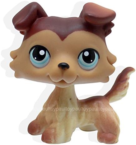 TeeNoi #58 Rera Littlest Pet Shop Brown Collie Dog Puppy Blue Eyes LPS Animal Toy NEW