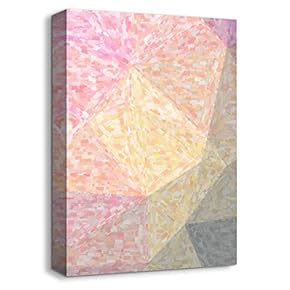 Canvas Wall Art Abstract Beautiful Oil Painting Feature Artwork for Home Prints Framed - 12x18 inches