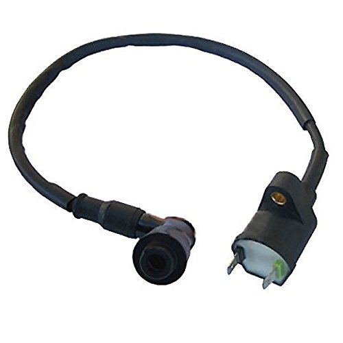 Aquiver Auto Parts New Ignition Coil for Honda TRX 300 TRX300 FourTrax 1988 1989 1990 1991 1992 1993 1994 1995 1996 1997 1998 1999 2000 Aquiver Auto Parts New Ignition Coil for Honda TRX 300 TRX300 FourTrax 1988 1989 1990 1991 1992 1993 1994 1995 1996 1997 1998 1999 2000
