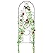 Amagabeli 12 Pack Garden Trellis for Climbing Plants 60