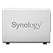 Synology Disk Station 2-Bay Network Attached Storage (DS215j)