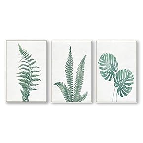 Framed Canvas Wall Art for Living Room, Bedroom Beautiful Plants Cactus Canvas Prints for Home Decoration Ready to Hanging - 16"x24"x3 Panels