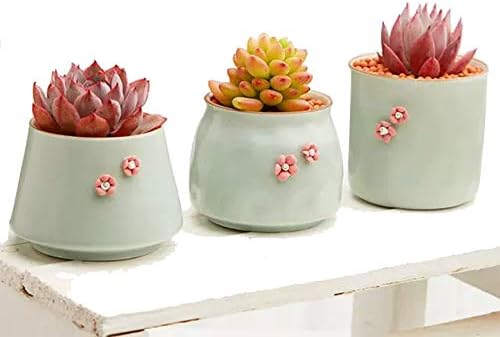 多肉 鉢 植木鉢 多肉植物 鉢 サボテン鉢 可愛いマカロン色 プランター 部屋 オフィスの飾り