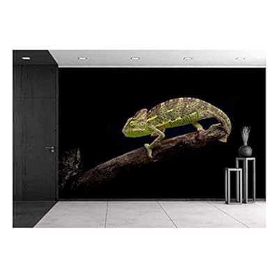 Yemen Chameleon - Removable Wall Mural | Self-Adhesive Large Wallpaper - 100x144 inches