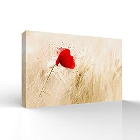Beautiful Flowers Pictures Home Wall for Bedroom Living...
