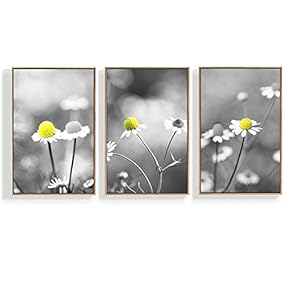 3 Piece Canvas Wall Art for Living Room, Bedroom Green Plants Framed Canvas Prints for Home Decoration Ready to Hang - 16"x24"x3 Panels