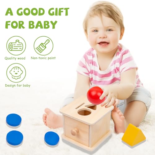 Adena Montessori Coin Box,3 in 1 Object Permanence Box Toys for 1 Year Old Baby Coins,Wooden Montessori Ball Drop Toys Developmental Toys for 6-12 Month Infant Toys,Triangle Ball Round Shapes