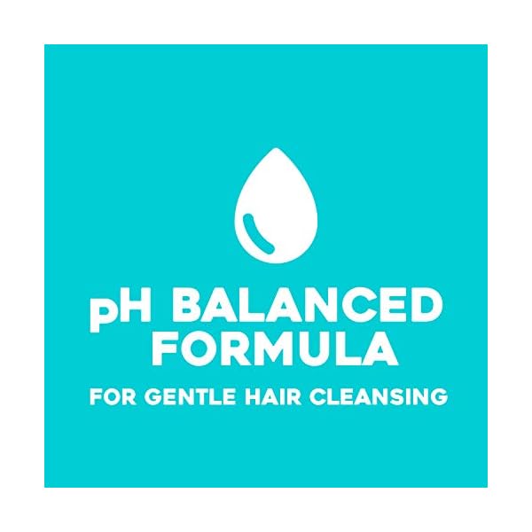 OGX Argan Oil of Morocco Sulfate Free Shampoo for Dry Hair, 385ml (Pack of 1)