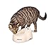 Petmate Deluxe Fresh Flow Dog and Cat Water Fountain 3 Sizesthumb 1