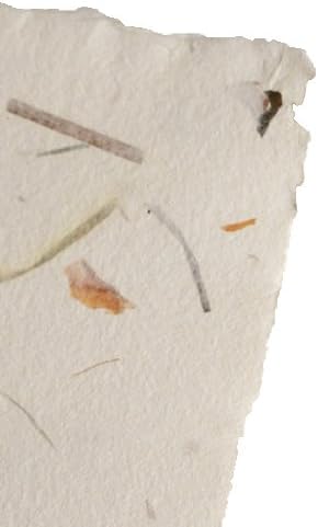Handmade Paper/A4/White with Onion and Weed/Deckle-Edge/180 G/M² / 10 Sheet/P045A4