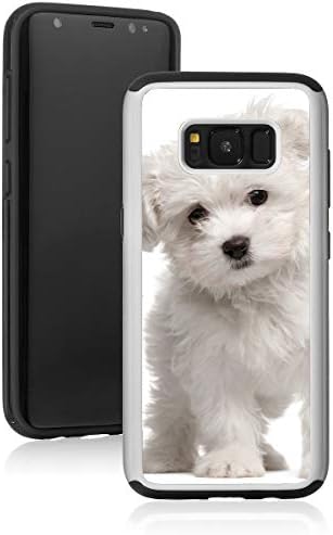 Shockproof Impact Hard Soft Case Cover for Samsung Galaxy White Maltese Puppy Dog (White, for Samsung Galaxy S10+ (Plus))