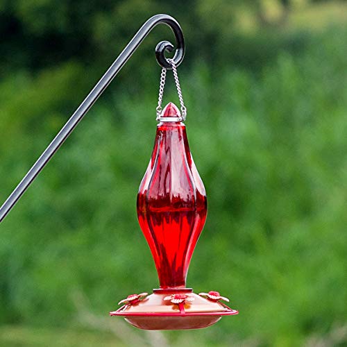 Birdream Hummingbird Feeder Glass Hummingbird Feeders for Outdoors