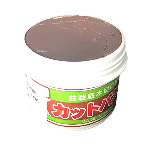 Japanischer Mastix, Heilpaste speziell für Bonsai-Laubbäume, 160 g – Bild 5
