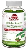 Flamingo Supplements - Matcha Green Tea Extract Gummy Vitamin with EGCG. Increase Focus, Metabolsim Booster, Weight Loss & Fat Burner. Vegan Friendly, Gluten-Free, Non-GMO, Kosher and Halal. 60 ct