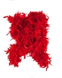 Red Feather Boa by Fun Express