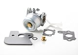 Briggs & Stratton 698055 Carburetor Replacement Part