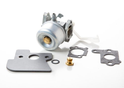 Briggs & Stratton 698055 Carburetor Replacement Part