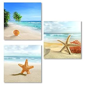 for Living Room Bedroom Seashell Starfish on Beach...