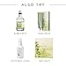 Thymes Fragrance Mist - Scented Room Spray for Home Fragrance - Eucalyptus - 3 oz