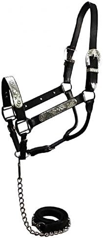 Black Leather Horse Engraved Silver Show Halter With Matching Lead Silver