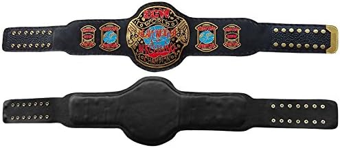 ECW World Heavyweight Championship Replica Title Belt Brass Plated Metal Adult