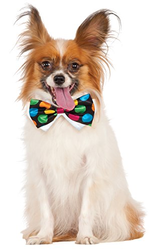 Polka Dot Pet Bowtie, Large/X-Large