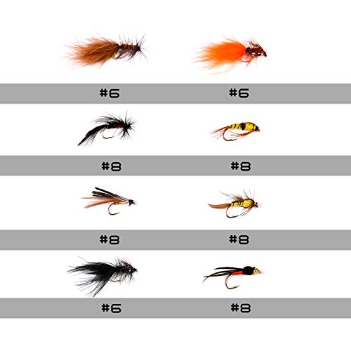 image for M MAXIMUMCATCH Maxcatch Fly Fishing Flies Kit Fly Assortment Dry/Wet F