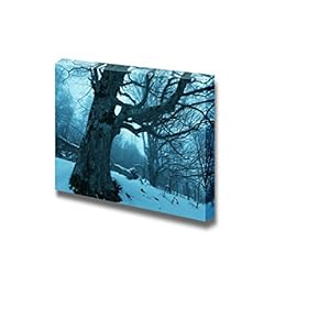 Canvas Prints Wall Art - Magic Forest of Misty | Modern Wall Decor/Home Decoration Stretched Gallery Canvas Wrap Giclee Print. Ready to Hang - 12" x 18"