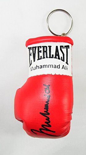 everlast mini boxing gloves