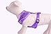 PUPTECK Soft Mesh Dog Harness and Leash Set Pet Puppy Cat Comfort Padded Vest No Pull Harnesses, Deep Purple, S
