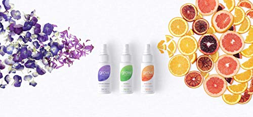 Grow Fragrance - Certified 100% Plant Based Air Freshener + Fabric Freshener Spray, Made with All Natural Essential Oils, 2oz Variety Pack - Great for Travel! - Thumbnail 4