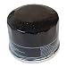 N2 Oil Filter Replaces MTD 751-12690, 951-12690 primary
