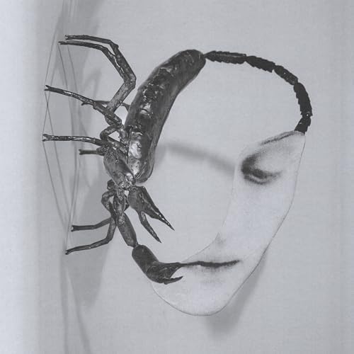 新品!GASTR DEL SOL『UPGRADE & AFTERLIFE』 Gastr del Sol - Upgrade & Afterlife - Amazon.com Music