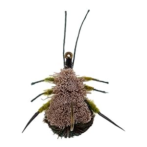 T Tooyful Leurre De Pêche 3 Modèles Insectes Truite Carpe Pêche à La Mouche Sèche Mouches Leurre Flottant