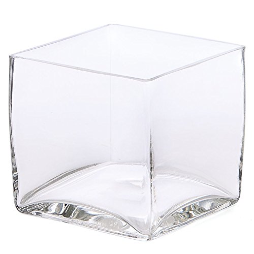 Skalny Square Clear Glass Vase, 6" x 6" x 6" Home & Kitchen