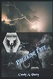 Detroit Steel MC: Breaking Free by