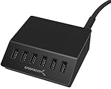 Sabrent Premium 60 Watt (12 Amp) 6-Port Aluminum Family-Sized Desktop USB Rapid Charger. Smart USB Charger with Auto Detect Technology [Black] (AX-FLCH-B)