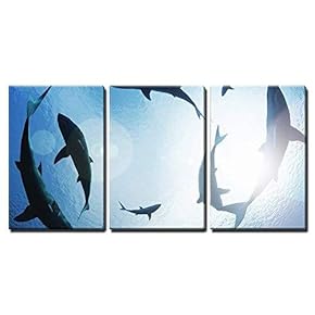 School of Sharks Circling from Above x3 Panels