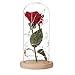 Adoeve Pink Rose Enchanted Red Silk Rose and LED Light in Glass Dome on a Wooden Base Artificial Flowers