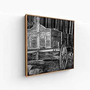 Canvas Wall Art for Living Room, Bedroom Silence Framed Canvas Prints for Home Decoration Ready to Hang - 16x16 inches