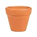 Juvale 10-Pack 2-Inch Mini Terracotta Pots with Drainage Holes for Succulents, Plants, Herbs, and Flowers, Small Clay Pot Planters for Indoor and Outdoor Gardening, Crafts