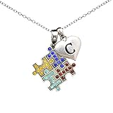 Autism Necklace with Initials (C, One Size)