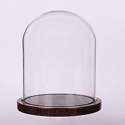 Moonlear Glass Cloche Bell Jar Display Dome with