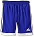 adidas Performance Youth Tastigo 15 Shorts, Royal Blue, X-Large