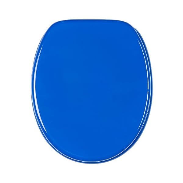 WC-Sitz Blau aus Holz Oberfläche