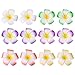 Mudder 12 Pieces 3.7 Inch Hawaiian Plumeria Flower Hair Clip Foam Hair Accessory for Beach Party Wedding Event Decoration