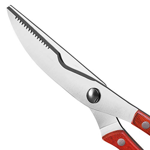 Heavy Duty Stainless Steel Kitchen Shears With Spring Loaded Wood Handle And Professional Blade Poultry scissors For Spatchcock Turkey Lobster And Bone By Proshear (Red) - Thumbnail 5