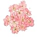 JETEHO 20Pcs Real Larkspur Dried Flowers Pressed Flowers DIY Preserved Flower Decorations