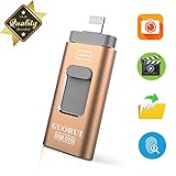 USB Flash Drive 256GB for iPhone Photo Stick backup iPhone Memory Stick External Storage Thumb Drive for iPhone 11 Pro X XR XS MAX 6 7 8 Plus iPad Pro PC Android Password Touch ID Protected Flash Gold