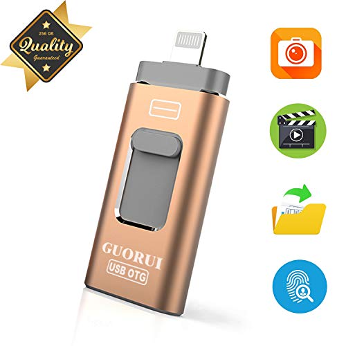 USB Flash Drive 256GB for iPhone Photo Stick backup iPhone Memory Stick External Storage Thumb Drive for iPhone 11 Pro X XR XS MAX 6 7 8 Plus iPad Pro PC Android Password Touch ID Protected Flash Gold